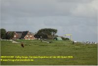 39925 04 097  Hallig Hooge, Nordsee-Expedition mit der MS Quest 2020.JPG